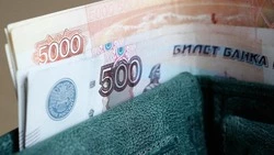 Более 1200 белгородских семей получили сертификаты на материнский капитал