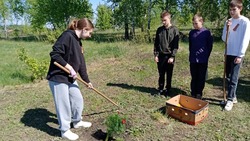 Юные жители Красногвардейского района приняли участие в экологических акциях