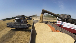 Уборка зерновых культур началась на полях группы компаний «Агро-Белогорье»