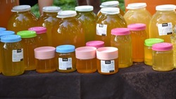 Пятый фестиваль мёда «Золотая пчёлка» прошёл в Красногвардейском районе