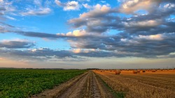 Белгородцы смогут принять участие в программе «Современный облик сельских территорий»