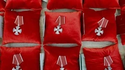 Вячеслав Гладков: Семьи погибших участников СВО получили государственные награды