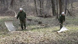 Управление Роспотребнадзора по Белгородской области: «Чем опасен укус клеща»