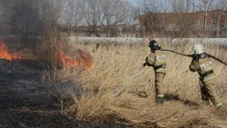 Начальник Красногвардейского отдела надзорной деятельности – о пожарной безопасности