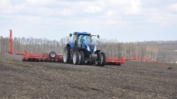 Растениеводам Красногвардейской зерновой компании предстоит посеять две тыс. га сахарной свёклы