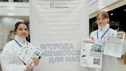 Белгородских волонтёров оснастили новым приложением для проведения голосования по благоустройству