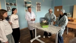 Бирюч встретил юных гостей из Ровеньского муниципального округа 