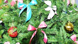 Власти Красногвардейского района поздравили земляков с Новым годом и Рождеством