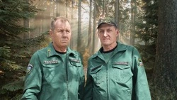 Работники Красногвардейского лесничества отметят 15 сентября профессиональный праздник