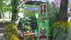 Три человека стали Почётными гражданами Красногвардейского района 30 августа 2025 года