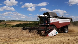 Два хозяйства Красногвардейского района завершили уборку ранних зерновых культур