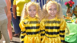 Пятый районный фестиваль мёда пройдёт в Бирюче