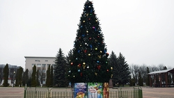 Жители Красногвардейского района адресовали свои пожелания землякам в Новом году