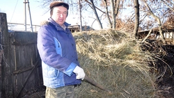 Кто умеет трудиться — в селе не пропадёт. Супруги Нагибины рассказали о своём подворье