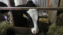 Вячеслав Гладков встретился с участником СВО 