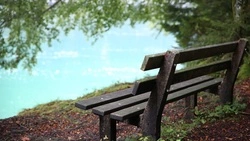 Роспотребнадзор предупредил красногвардейцев об опасностях летнего отдыха на природе