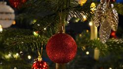 Власти района поздравили красногвардейцев с наступающим Новым годом и Рождеством