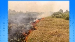 Управление Росреестра напоминает белгородцам о важности соблюдения правил противопожарного режима 