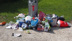 Центр экологической безопасности займётся вывозом мусора