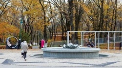 Вячеслав Гладков: На социальные контракты в Белгородской области в 2026 году направим около 1,9 млрд