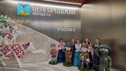 Вячеслав Гладков рассказал о 600 тыс. прошедших через павильон региона на выставке «Россия» в Москве