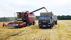 СПК «Большевик» стал лидером по урожайности зерновых культур в Красногвардейском районе