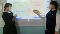 Казацкая школа получила комплект интерактивного оборудования от фонда «Поколение»