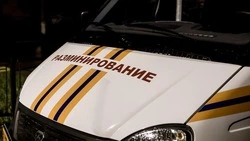 Губернатор Вячеслав Гладков рассказал о результатах работы саперов в приграничье