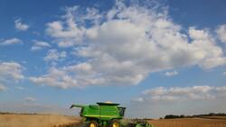 Аграрии Белгородской области убрали 94% площадей зерновых и зернобобовых культур