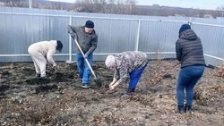 Неравнодушные жители красногвардейской Никитовки высадят более 47 тыс. цветов в 2025 году