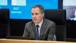 Вячеслав Гладков обсудил основные параметры бюджета Белгородской области на 2025 год  