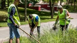 Вячеслав Гладков – о реализации планов по вовлечению в трудовую занятость детей и подростков