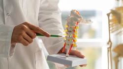Врач Красногвардейской райбольницы – о профилактике остеопороза