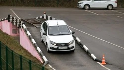 Вячеслав Гладков: в 2025 году обучение водителей в школах позволило поднять уровень трудоустройства