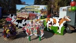 Десять жителей Верхнепокровского округа Красногвардейского района заключили соцконтракты 