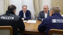 Вячеслав Гладков и гендиректор ПАО «Россети Центр» Борис Эбзеев провели встречу