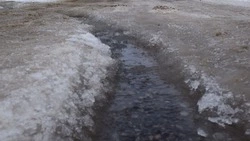 Откуда водичка? Журналисты красногвардейской газеты взяли на контроль обращение граждан