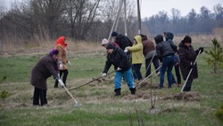 Дни защиты от экологической опасности пройдут на территории Красногвардейского района
