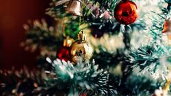 Педагог красногвардейской Станции юннатов дала советы по новогоднему украшению дома