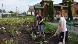 37 подростков нашли дополнительный заработок в красногвардейской Засосне