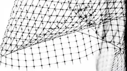 Вячеслав Гладков: 213 объектов в белгородском приграничье оборудовали антидроновой сеткой