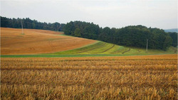 Красногвардейские аграрии увеличат площадь многолетних трав на землях с уклоном 
