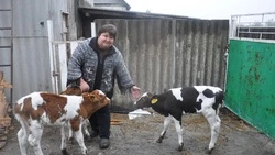 Наталья и Валерий Горовые из Красногвардейского района рассказали о своём подворье