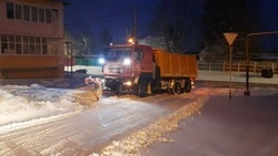 Коммунальные службы оперативно приступили к снегоуборочным работам в Красногвардейском районе