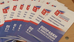 Более 80% жителей Белгородской области поддержали поправки в Конституцию