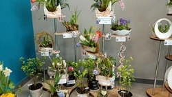 Красногвардейские флористы заняли второе место в областном конкурсе