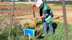 37 геодезических пунктов обследовали представители Росреестра в Красногвардейском округе