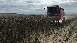 Труженики красногвардейского СПК «Большевик» достойно встретили профессиональный праздник