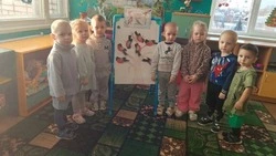 Педагоги детского сада «Солнышко» города Бирюч: «Покормите птиц зимой»