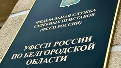 Главный судебный пристав Белгородской области проведет приём граждан в Бирюче